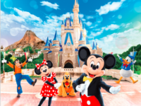 現職 東京ディズニーリゾート サンクス フェスティバル のご案内 一般財団法人 神奈川県教育福祉振興会